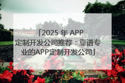 2025 年 APP 定制开发公司推荐：靠谱专业的APP定制开发公司
